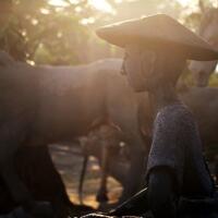 saung-lensa-manual---part-2