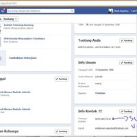 bikinin-ane-1-facebook-dapat-2-grp-brp-setiap-harinya