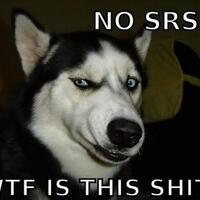 973397339733-show-your-computer-973397339733