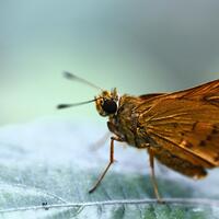 17691757photography17571769-galleries-tips-sharing--information