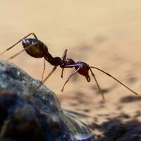 17691757photography17571769-galleries-tips-sharing--information