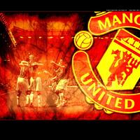 29721769175817692972--deluxe-soccer-avatar-stadium--29721769175817692972iso-only