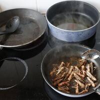 belalang-sumber-nutrisi-pic