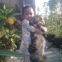 share-cabe-habanero---part-7