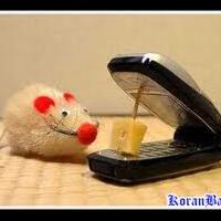 10-tips-memanfaatkan-handphone-bekas