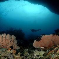 diving-di-tanjung-setan-berani