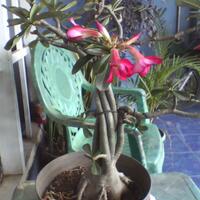 post-image