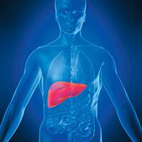 liver-dan-penyebabnya-liver-disease