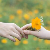 watak-agan-menurut-hari-lahir