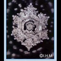 keajaiban-perubahan-bentuk-kristal-air--pic-keren-gan