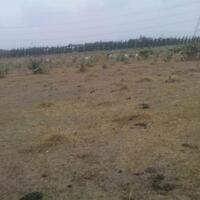 ane-harap-hujan-segera-datang