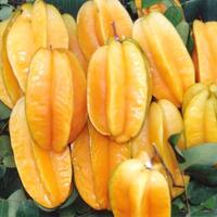 buah-dan-sayur-yang-baik-untuk-darah-tinggi