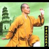 kung-fu-pengubah-otot