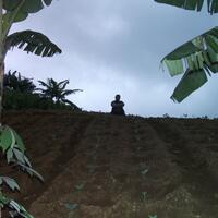 serba-serbi-yamaha-nouvo---all-variants