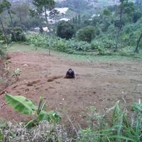 serba-serbi-yamaha-nouvo---all-variants