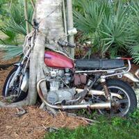 foto-aneh-dan-di-luar-nalar