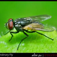 genesis-camera-feedback--testimonial