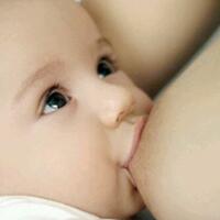 ayo-bertanam-cabe---hot--eksotis