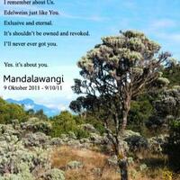 mengenang-perjalanan-dengan-kata