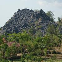 pertemuan-raja-raja-tanah-timor---reoni-nonot-pit-ai-uf