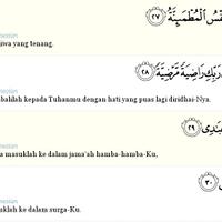 foto-foto-akibat-serangan-pasukan-zionis-yahudi-di-gaza-november-2012