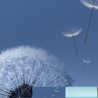 lounge-imo-s88-discovery