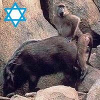 palestina-menjadi-negara-ke-194-gan