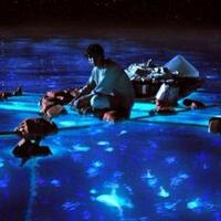 lounge---semua-pets-lovers-boleh-mampir-baca-dulu-1---part-3