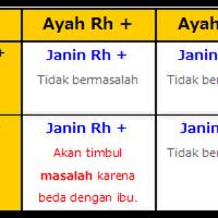 sebelum-menikah-kenali-dulu-rhesus-untuk-keturunan-penting