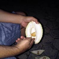 ini-yang-namanya-belah-duren-gan-agak-bb