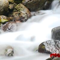 alun-alunnya-nikonian---part-10