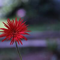 saung-lensa-manual---part-2