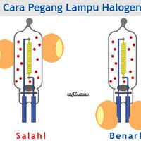 komparasi-lampu-halogen-motor