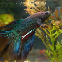 post-foto-ikan-lu-disini-d---part-2