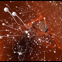 cara-memperbanyak-air-mani