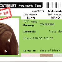 gawat-bin-darurat-gan