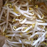 buset-gan-ini-pict-bikin-ngiler-toge