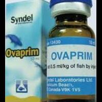 ovaprim-syndel-canada-10-ml