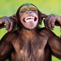 payung-ter-aman-ga-bakal-basah-gan-dijamin-100