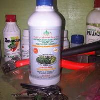 ayo-bertanam-cabe---hot--eksotis