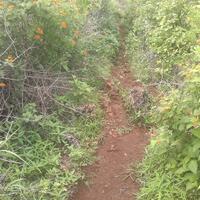 nokia-photography-corner-beautiful-indonesia