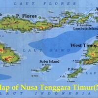 tolong-terawang-di-desa-ane-di-nttnusa-tenggara-timur