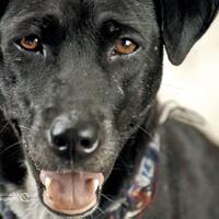 nongkrong-bareng-yang-masih-amatiran-dan-newbie---part-4