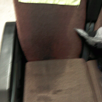 cirex-eksekutif-pake-kuah