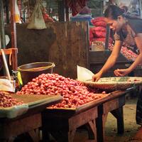 saung-lensa-manual---part-2