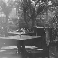 nongkrong-bareng-analog---film-camera---part-4