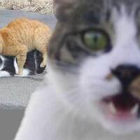 naas-seorang-pacar-asik-berfoto-tak-sadar-kekasih-dirudapaksa