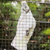 foto-papua-wamena-sorong-manokwari-jayapura-merauke-bintuni-raja-ampat-biak