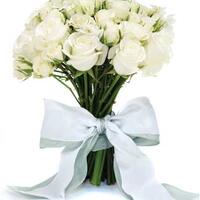 poll-pilih-mawar-warna-merah-atau-putih