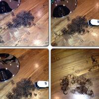 9733-chelsea-football-club---season-2012---2013-stamfordbridge-champ1onofeurope-9733